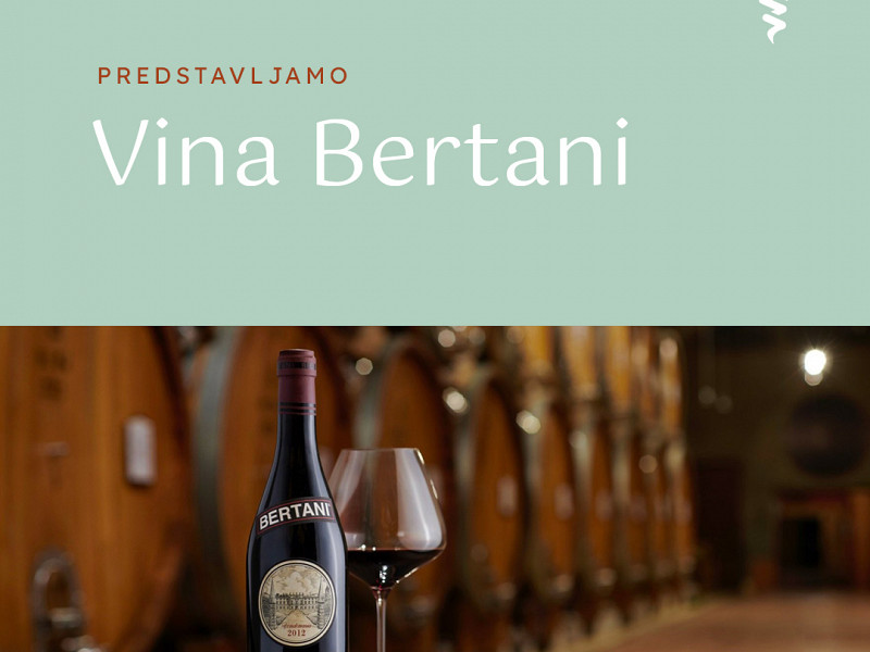 Spoznajte očarljivo pokrajino Valpolicella in skrivnosti vinske kleti Bertani