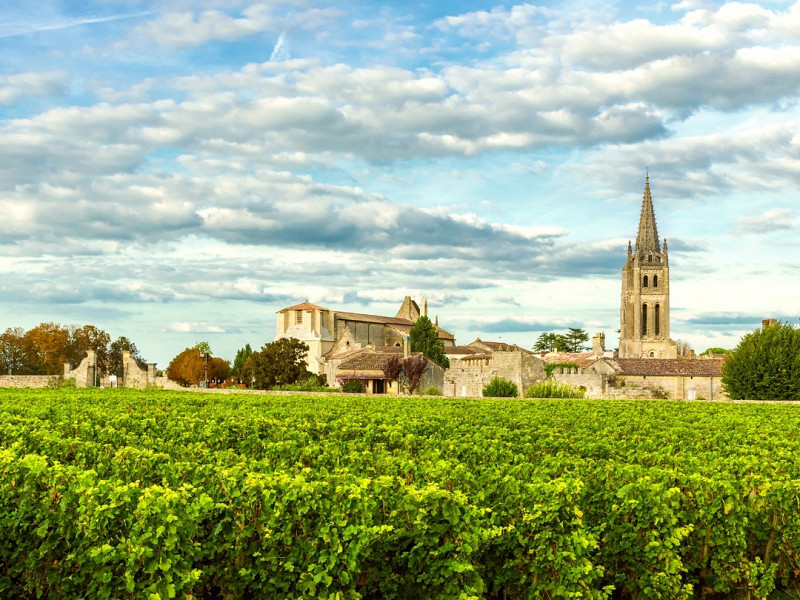 En Primeur 2025: Letnik, ki vrača zaupanje v velika vina Bordeauxa